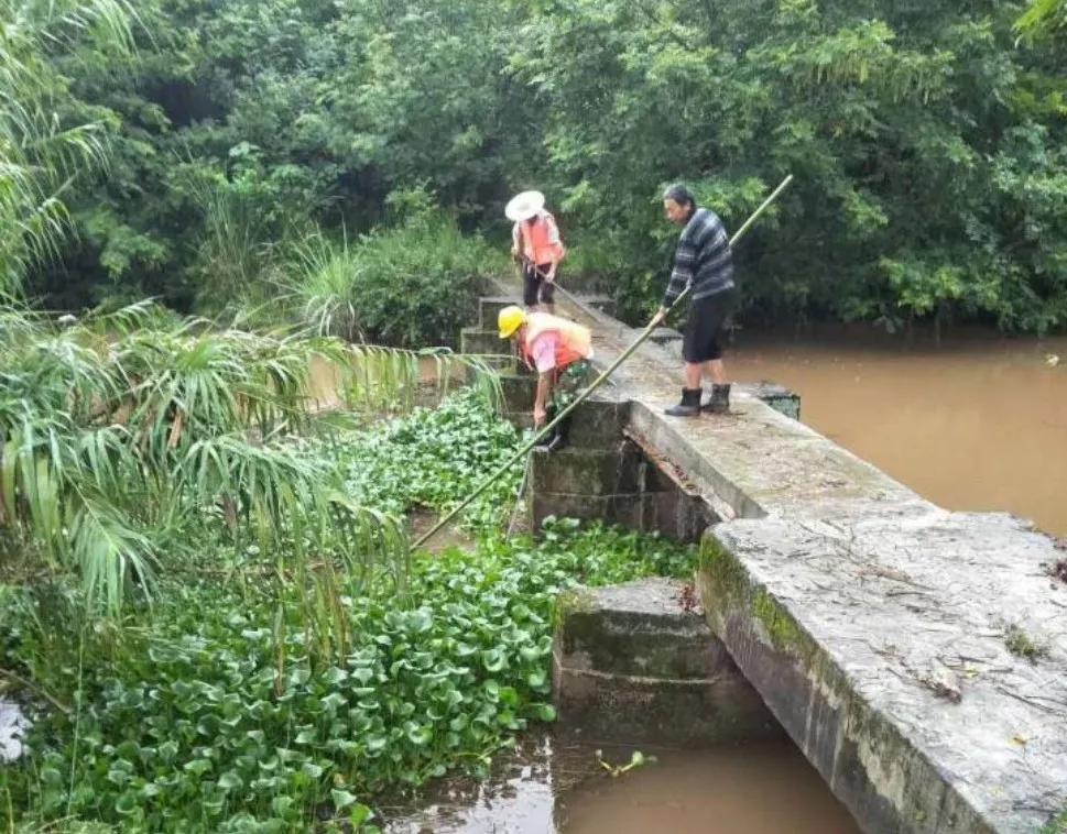 安岳河道治理成效如何？一组对比照带你看岳阳河等河道的变化