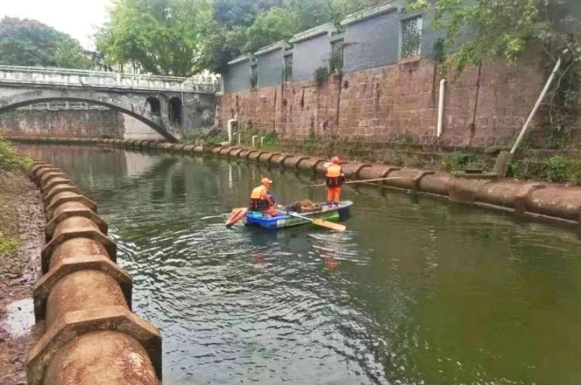 安岳河道治理成效如何？一组对比照带你看岳阳河等河道的变化