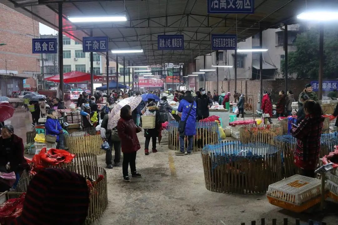 改进作风 服务群众丨下足绣花功夫 狠抓场镇治理——安岳石羊镇场镇面貌换新颜