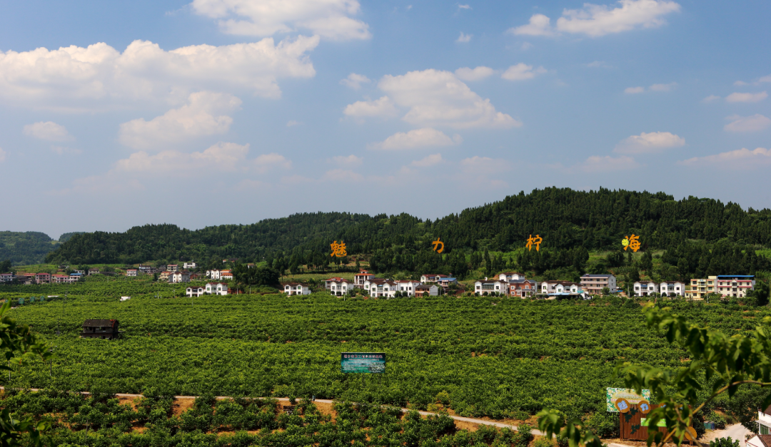 春节期间，安岳各景区景点限量开放