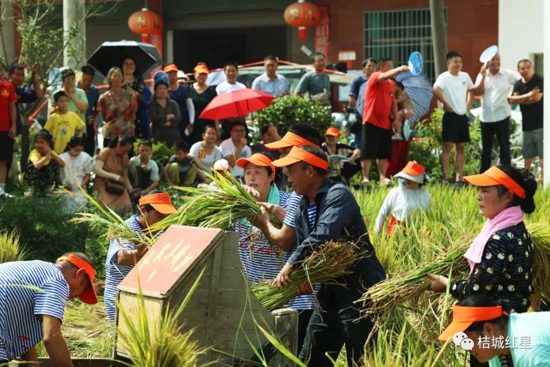 洞口县第二届农民丰收节在文昌街道平栋村隆重举办