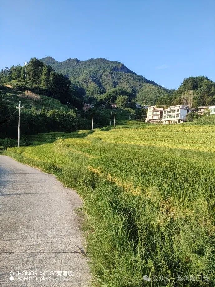 袁三丰 | 天马降在隆回九龙山